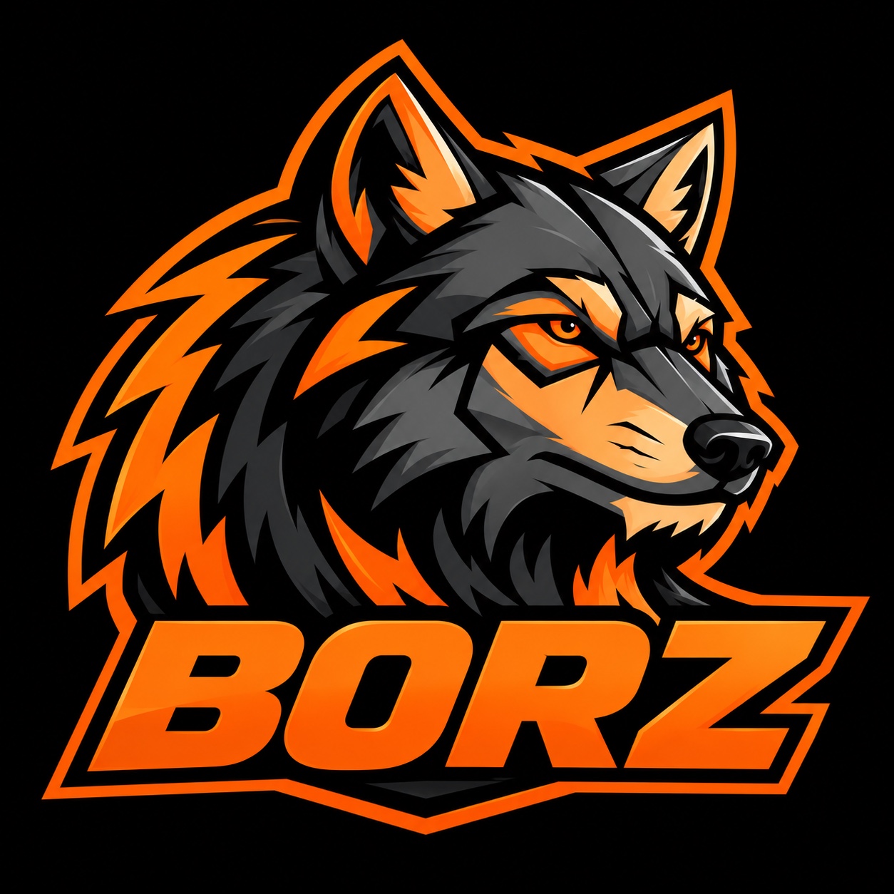 Логотип BorzService